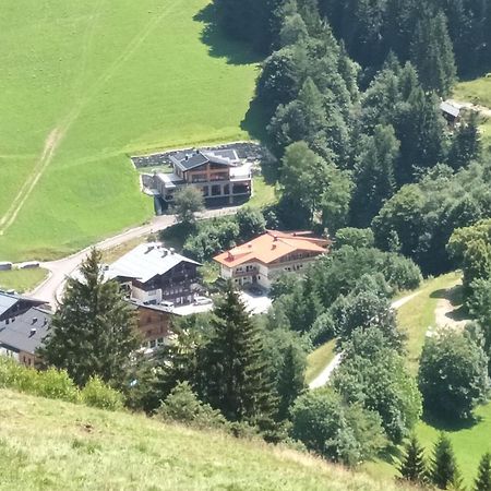 Haus Dienten Top 11 Dienten am Hochkönig 外观 照片