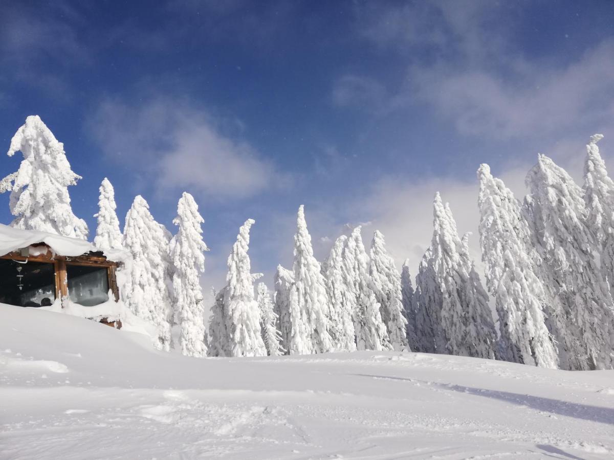 Haus Dienten Top 11 Dienten am Hochkönig 外观 照片
